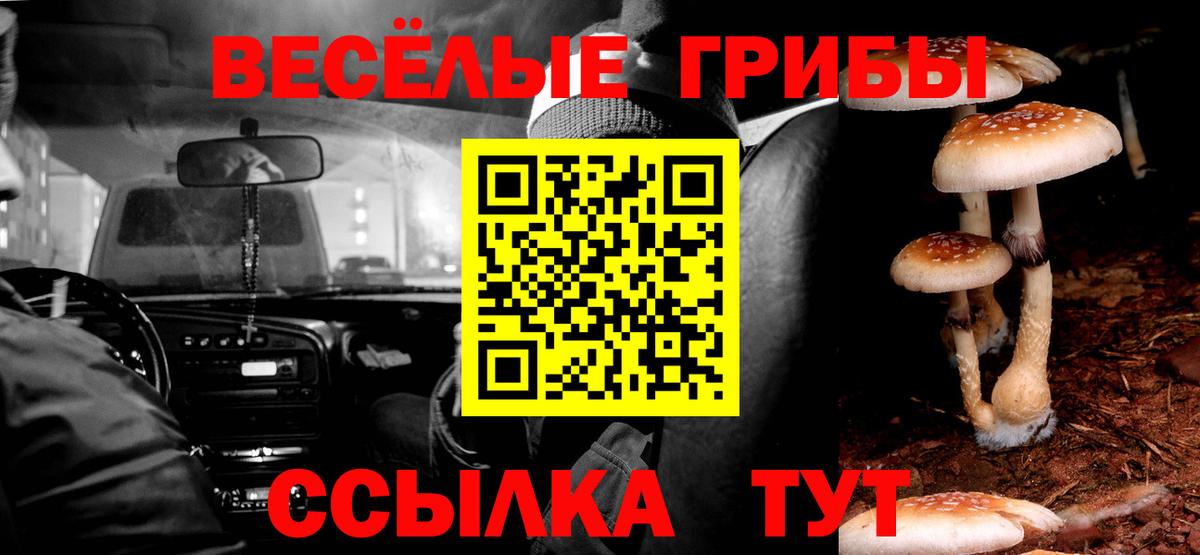 Псилоцибиновые грибы GOLDEN TEACHER Лабинск